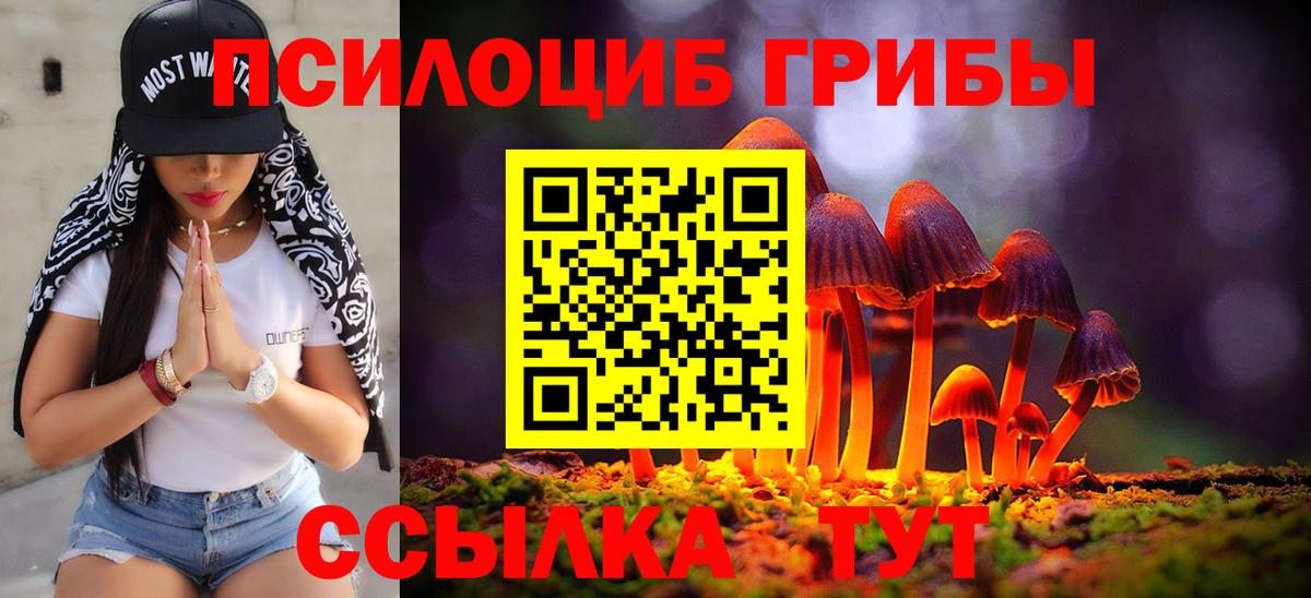 Сергиев Посад  Галлюциногенные грибы GOLDEN TEACHER  Вход с VPN 
